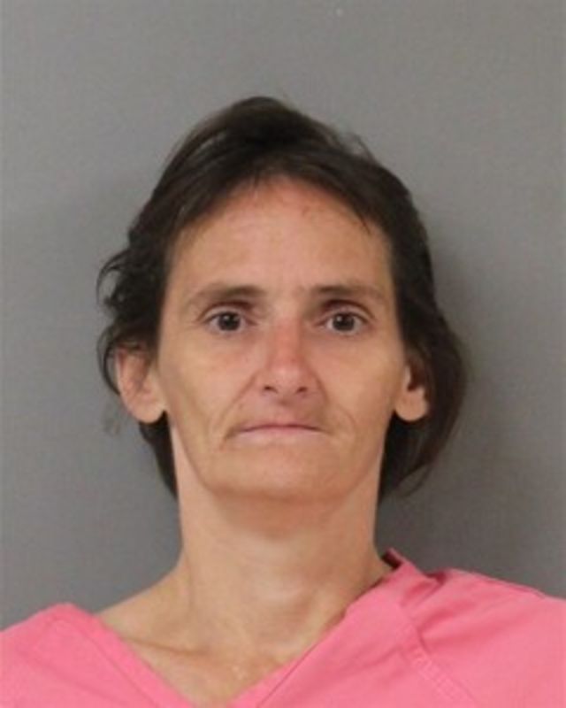 BURNS, SHANNON mugshot
