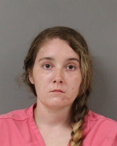 Law Enforcement Records