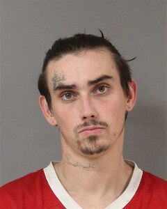 Arrest Records