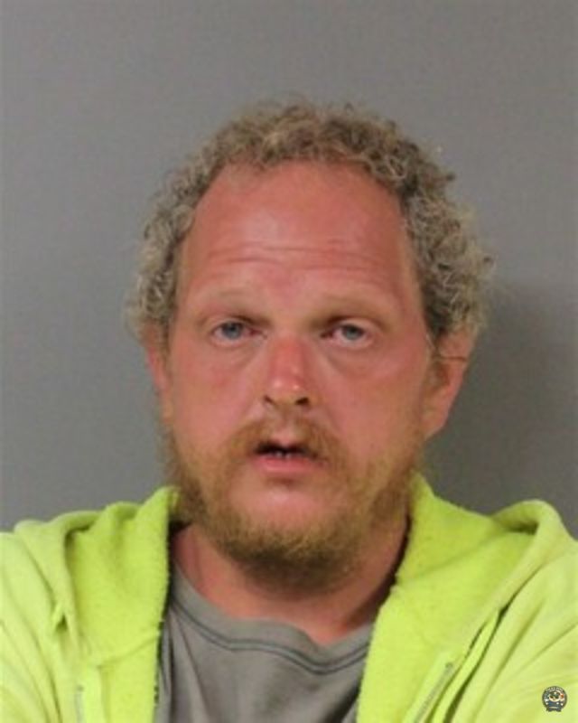 PALMER, CURTIS mugshot