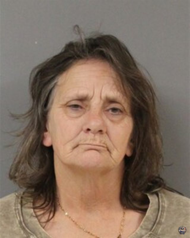 SKILLMAN, SUSAN mugshot