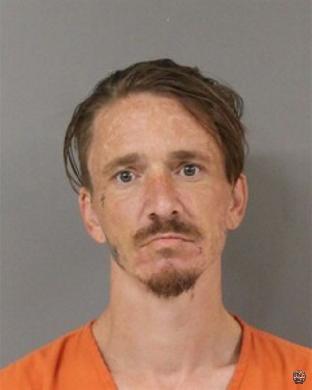 TOWNSEL, THOMAS mugshot