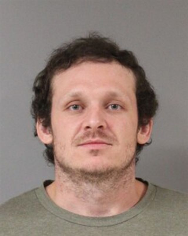 TRUELOVE, BRANDON mugshot