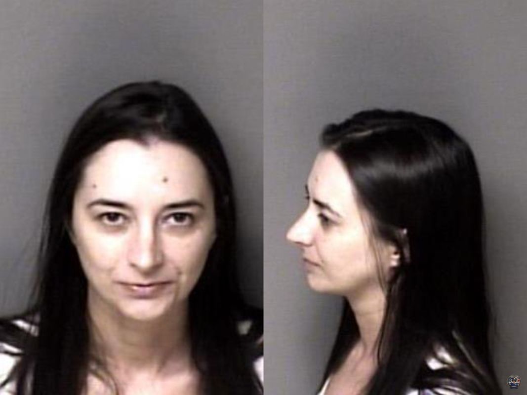 Law Enforcement Records