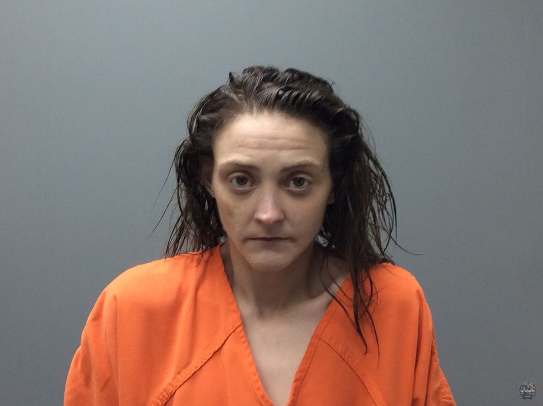 Law Enforcement Records