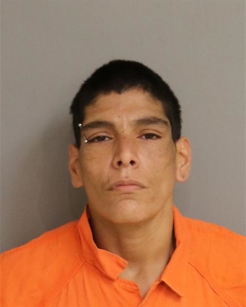 Law Enforcement Records