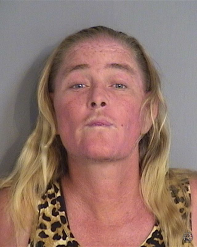 Law Enforcement Records