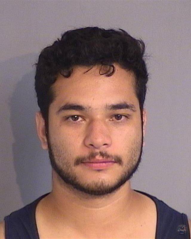 Law Enforcement Records