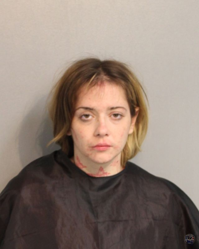 Law Enforcement Records