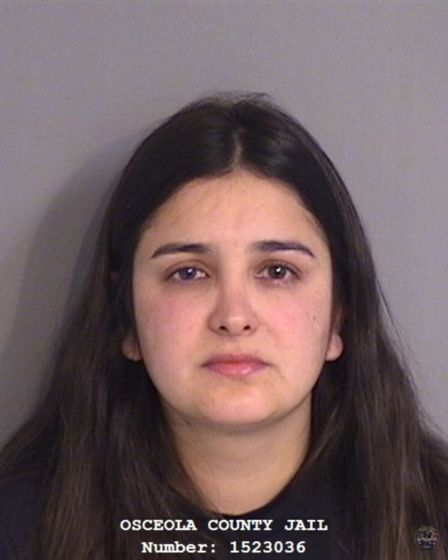 Law Enforcement Records