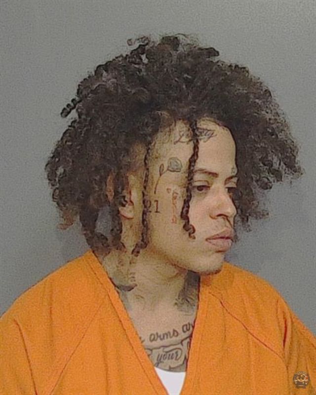 Law Enforcement Records