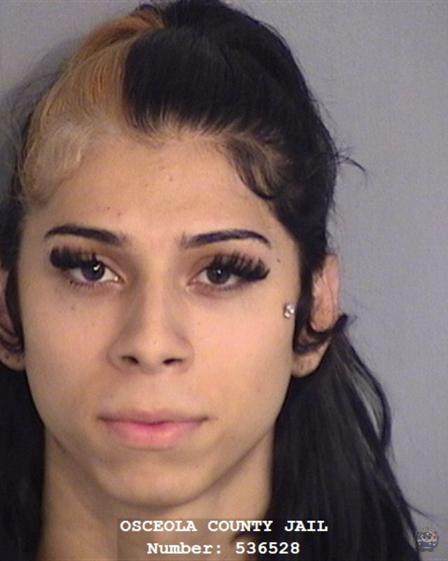 Law Enforcement Records