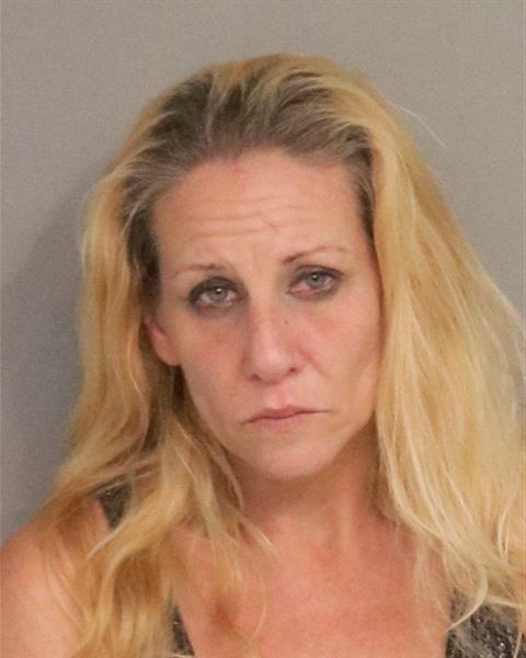 Law Enforcement Records