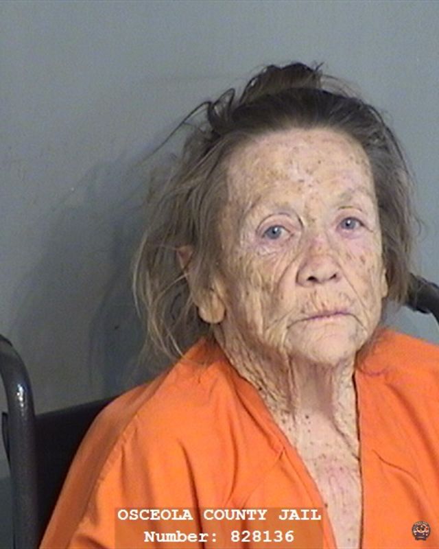 Law Enforcement Records