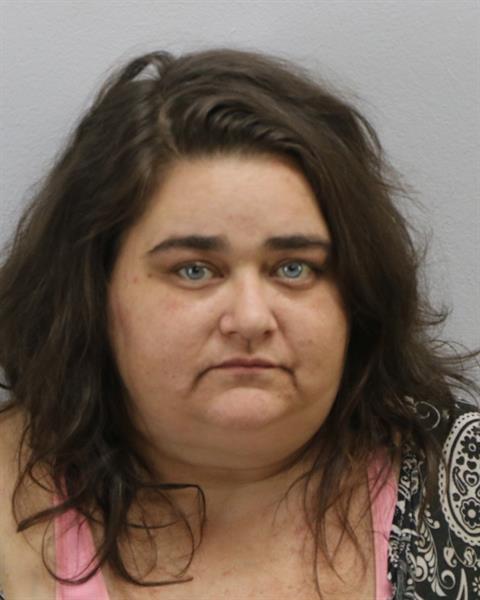 Law Enforcement Records