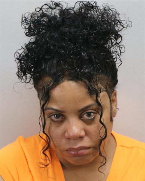 Law Enforcement Records