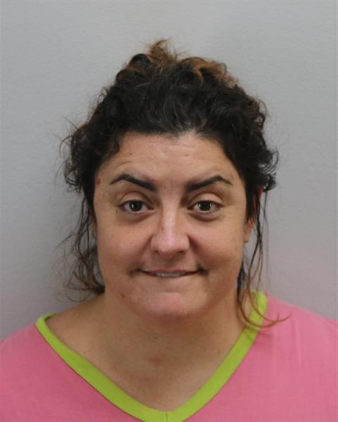 Law Enforcement Records