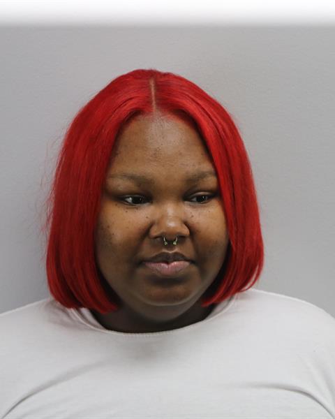 Law Enforcement Records