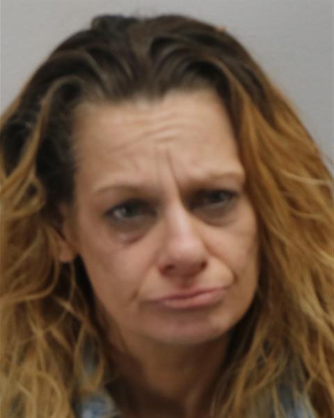 Law Enforcement Records