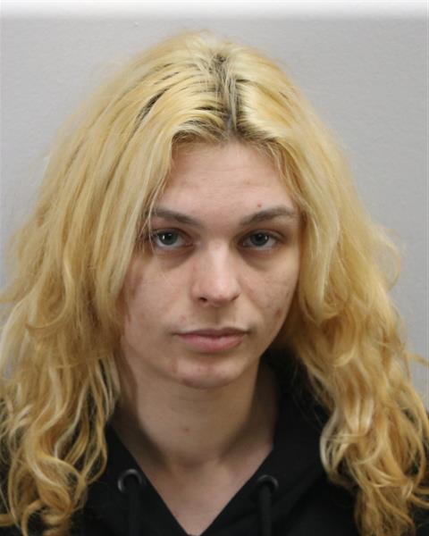 Law Enforcement Records