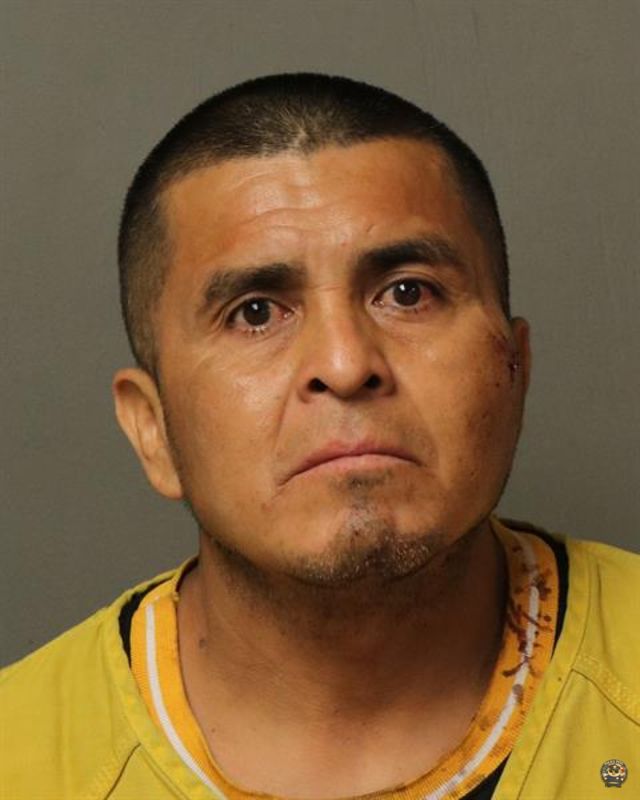 Law Enforcement Records